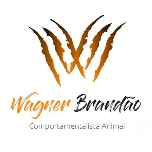 Wagner Brandão